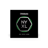 D`ADDARIO NYNW031